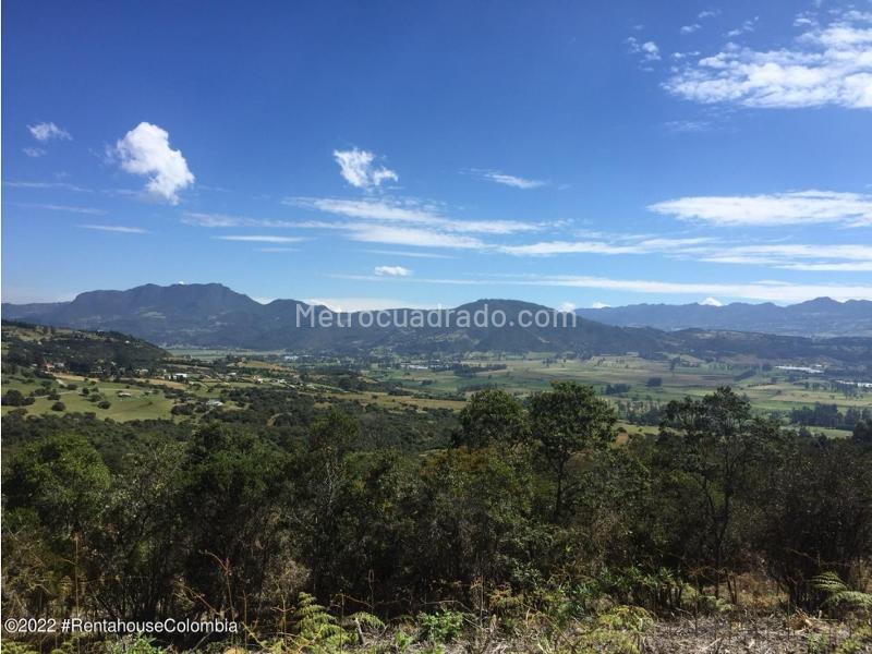 Lote en Venta, Altos De Yerbabuena, Chía - Vista 5