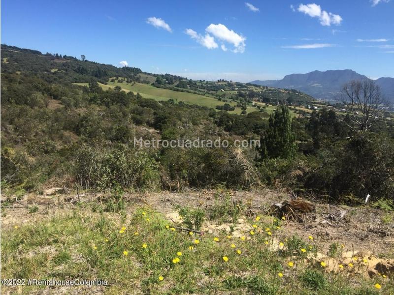 Lote en Venta, Altos De Yerbabuena, Chía - Más