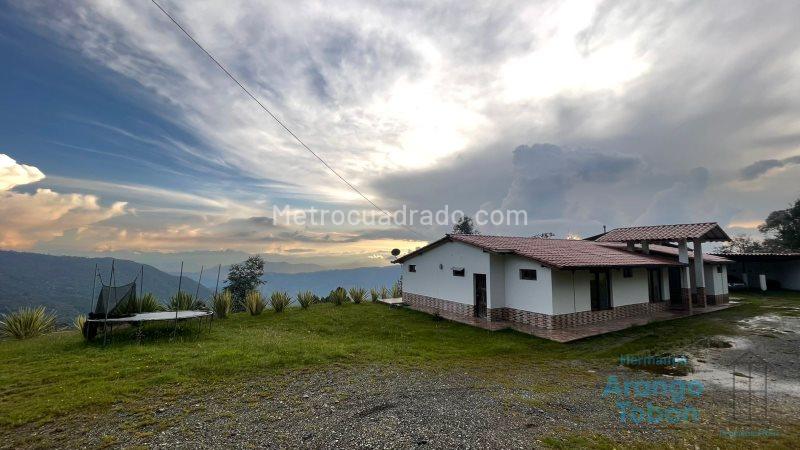 Beautiful House for Rent or Sale in La Catedral