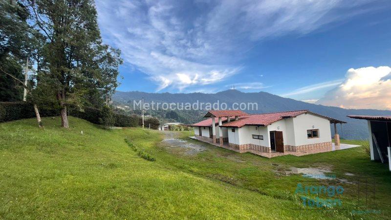 Beautiful House for Rent or Sale in La Catedral - 2