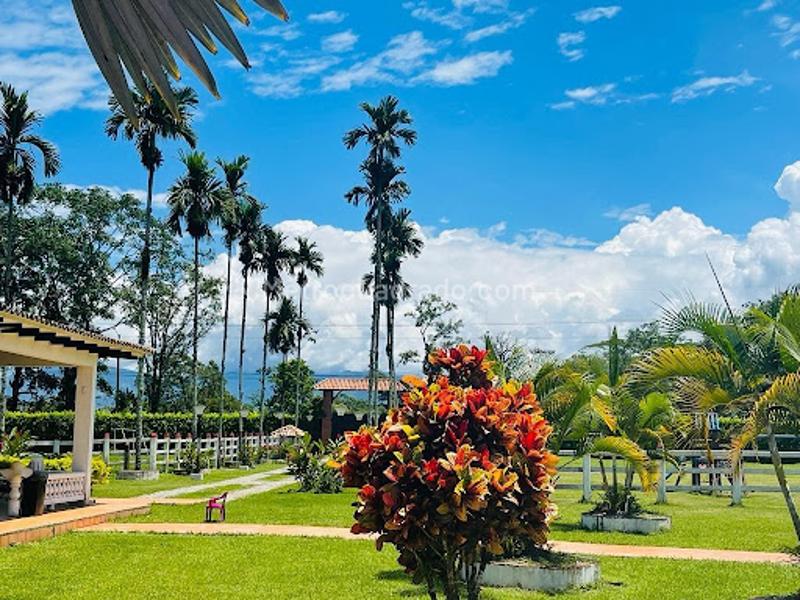 Finca En Venta, Guamal