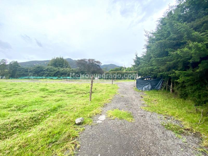 Lote en Arriendo, AUTOPISTA NORTE, Bogotá D.C. - Vista 5