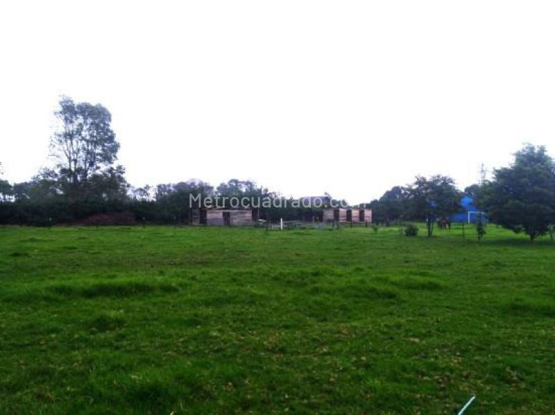 Lote en Venta, Vereda De La Balsa, Chía - Vista 3