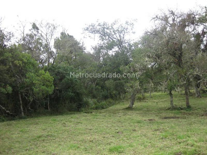 Lote en Venta, Chia, Chía - Vista 2
