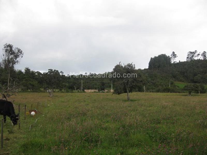 Lote en Venta, Chia, Chía - Vista 4