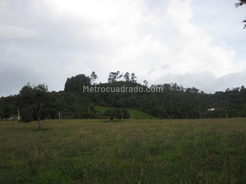 Lote en Venta, Chia, Chía - Más