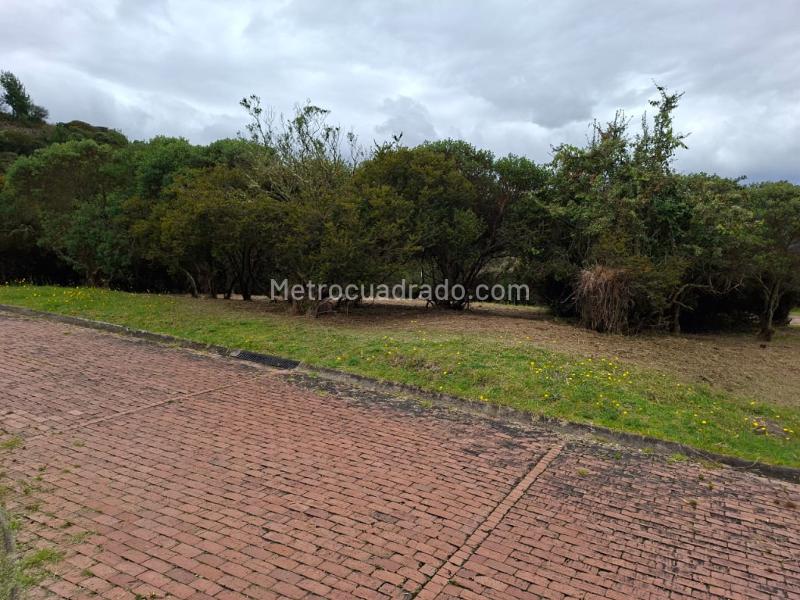 Lote en Venta, Yerbabuena, Chía - Más