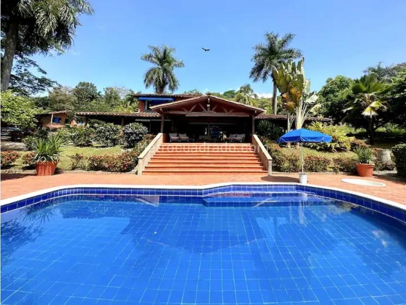 Finca En Venta, La Pintada
