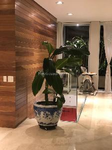 Casa de 4 alcobas en venta en Santa Rita, Cali, 585 m² · foto 10 de 20