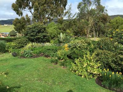 Casa de 4 alcobas en venta en Vereda San Rafael, La Calera, 700 m² · foto 15 de 20