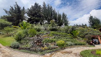 Casa en venta en Vereda San José Del Triunfo, La Calera · foto 2 de 20