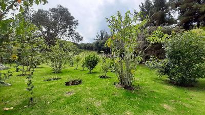 Casa en venta en Vereda San José Del Triunfo, La Calera · foto 20 de 20