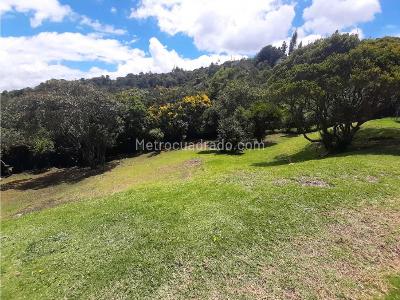 Casa de 3 alcobas en venta en Arboretto Bosque Residencial, La Calera, 280 m² · foto 15 de 15