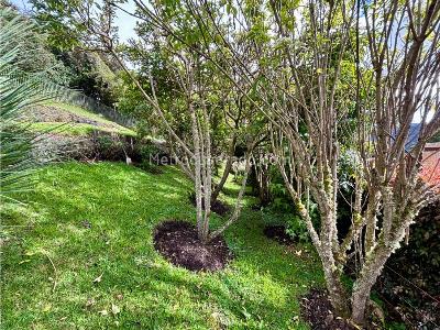 Casa en venta en Vereda San Rafael, La Calera · foto 12 de 20