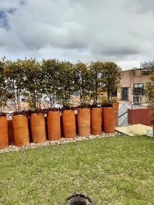 Apartamento de 3 alcobas en venta en Los Rosales, Bogotá, 218 m² · foto 15 de 16