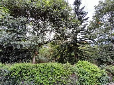 Casa de 4 alcobas en venta en Loma De Las Brujas, Envigado, 162 m² · foto 11 de 11
