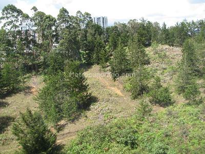 Apartamento de 2 alcobas en venta en Laureles, Rionegro, 77 m² · foto 18 de 18