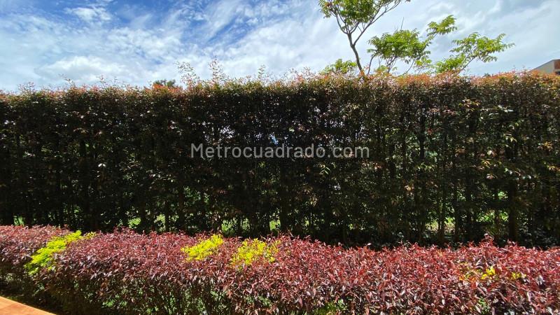 Apartamento en arriendo de 3 Alcobas en La Aurora, Robledo (50 m²) - 9