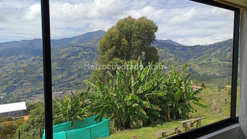 Apartamento de 2 Alcobas en San Cristóbal con Patio (70 m²) - 8