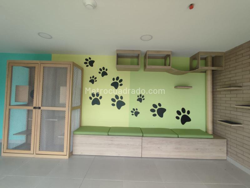 Apartamento en Arriendo, Barro Blanco, Rionegro - 2