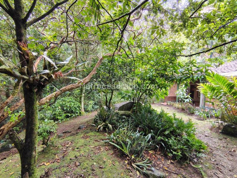 Casa Amplia en Arriendo en El Poblado, Ideal para Oficinas - 2