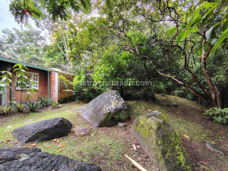 Casa Amplia en Arriendo en El Poblado, Ideal para Oficinas - 3