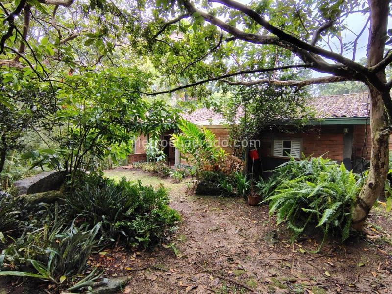 Casa Amplia en Arriendo en El Poblado, Ideal para Oficinas - 4