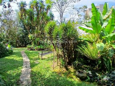 Casa de 3 alcobas en arriendo en Los Balsos, Medellín, 333 m² · foto 9 de 20