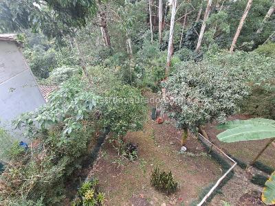 Casa de 5 alcobas en arriendo en Bosques De Zuñiga, Envigado, 280 m² · foto 16 de 20