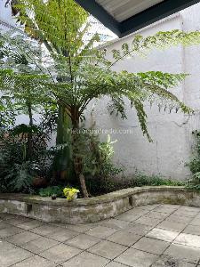 Casa de 4 alcobas en venta en San Felipe Barrios Unidos, Bogotá, 254 m² · foto 5 de 14