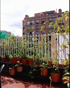 Apartamento de 3 alcobas en venta en Nogal Rosales, Bogotá, 187 m² · foto 14 de 20