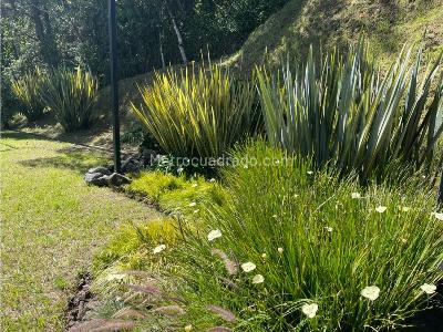 Casa de 4 alcobas en arriendo en Alto De Las Palmas, Envigado · foto 18 de 20