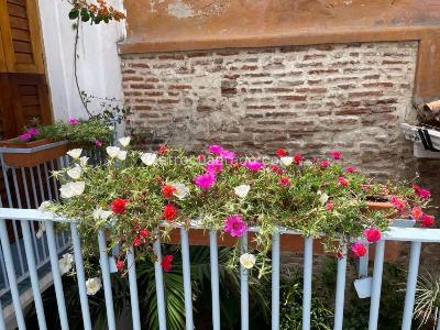 Casa en venta en Getsemani, Cartagena · foto 14 de 17