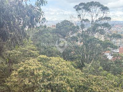 Apartamento de 3 alcobas en venta en Los Rosales, Bogotá, 320 m² · foto 2 de 20