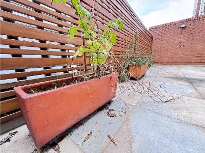 Casa de 4 alcobas en venta en Bosque De Pinos, Bogotá, 286 m² · foto 11 de 20