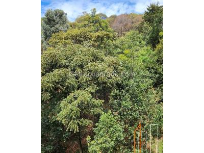 Apartamento en venta en Colina Campestre, Bogotá · foto 11 de 11