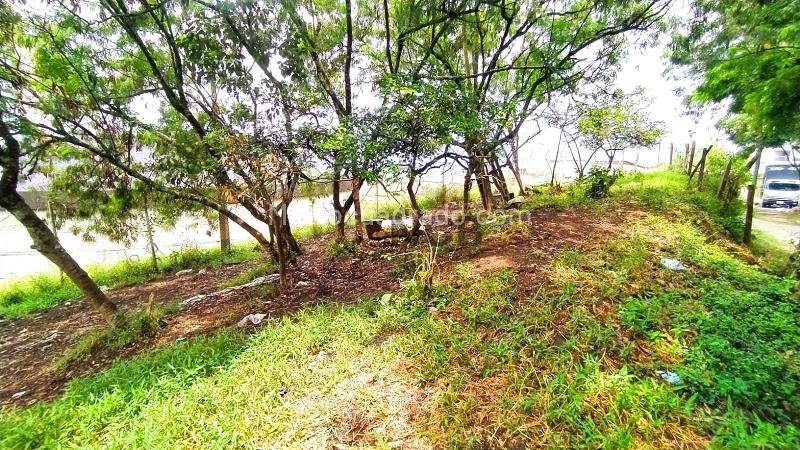 Lote en Venta, LOMA LA DOCTORA LOTE MARIA BONITA, Sabaneta - Más
