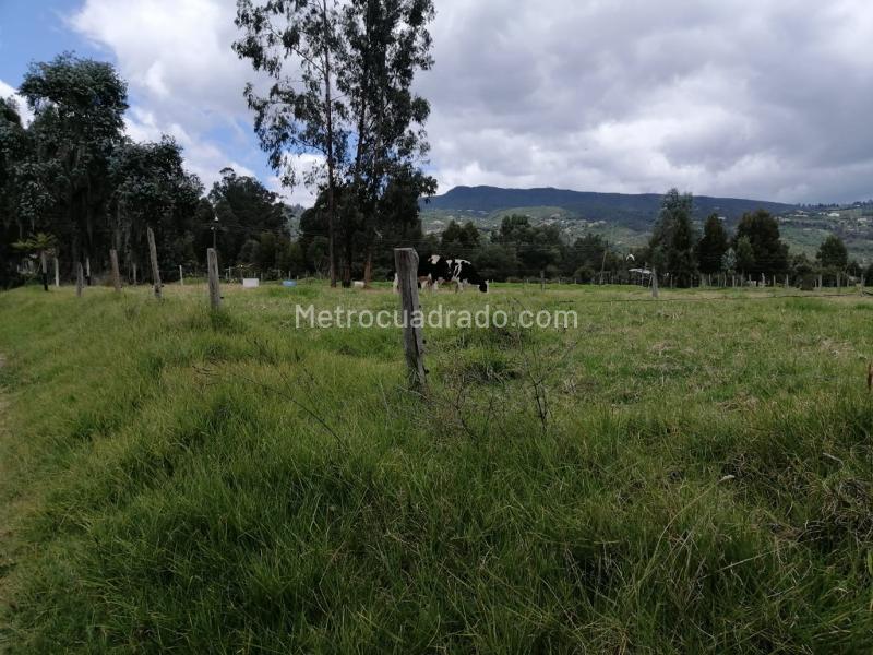 Lote en Venta, Calahorra, Cajicá - Más