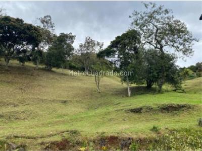 Casa de 3 alcobas en venta en Sajonia, Rionegro, 235 m² · foto 19 de 20