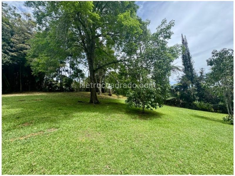 Lote en Venta, Rionegro, Rionegro - Vista 2