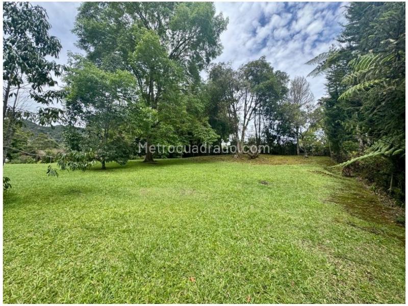 Lote en Venta, Rionegro, Rionegro - Vista 3