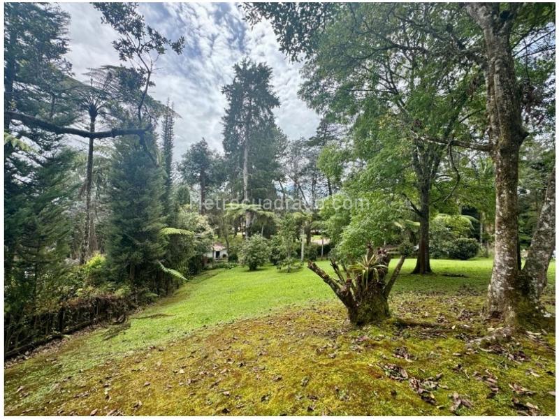 Lote en Venta, Rionegro, Rionegro - Vista 4