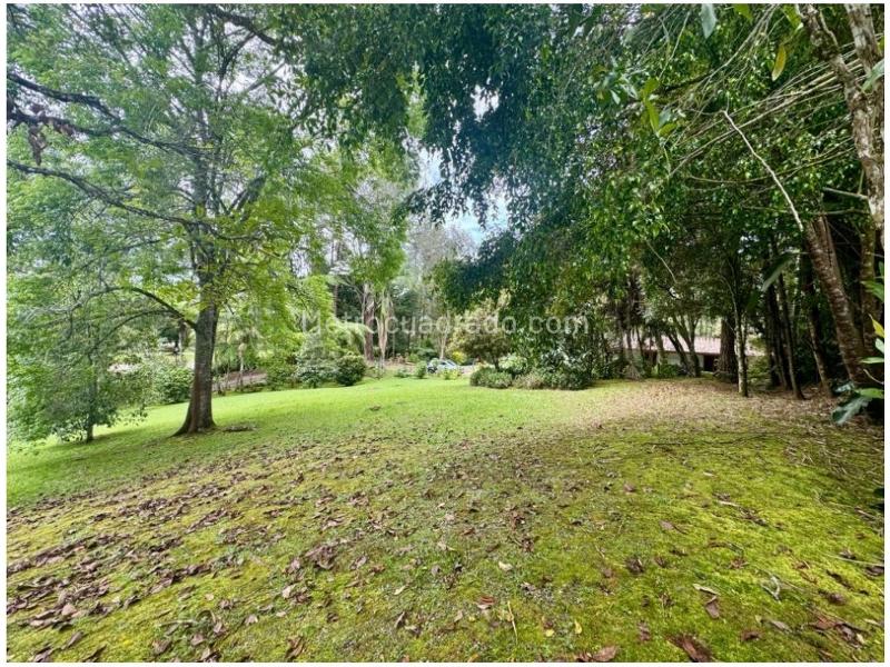 Lote en Venta, Rionegro, Rionegro - Vista 5