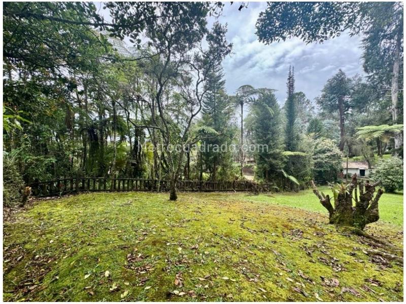 Lote en Venta, Rionegro, Rionegro - Más