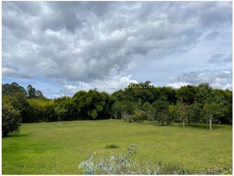 Lote en Venta, Llanogrande Sector Cabeceras, Rionegro - Vista 3