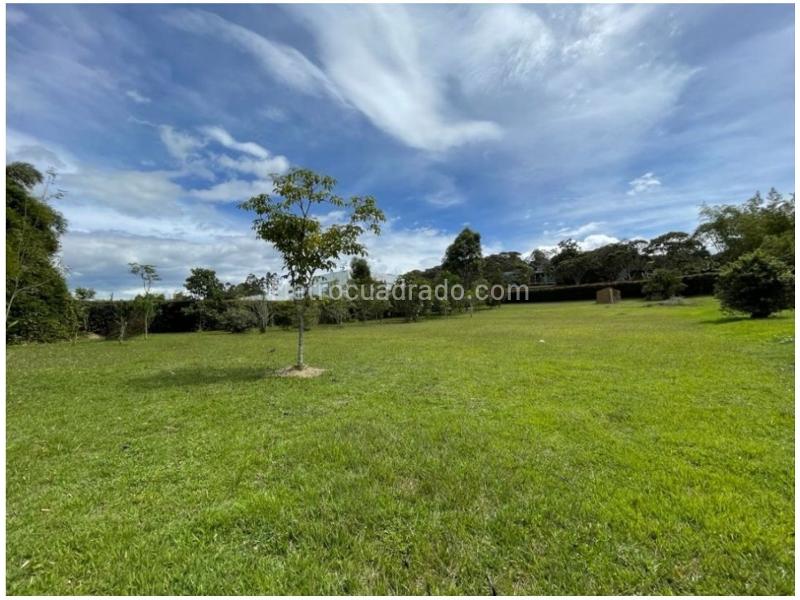Lote en Venta, Llanogrande Sector Cabeceras, Rionegro - Vista 5