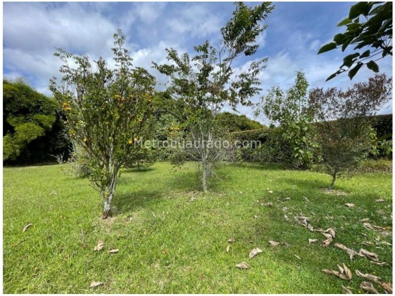 Lote en Venta, Llanogrande Sector Cabeceras, Rionegro - Más