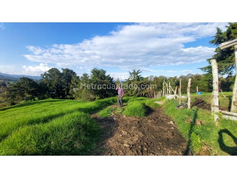 Lote en Venta, Pontezuela, Rionegro - Vista 2