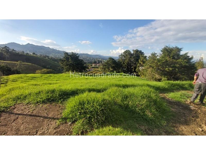 Lote en Venta, Pontezuela, Rionegro - Vista 4