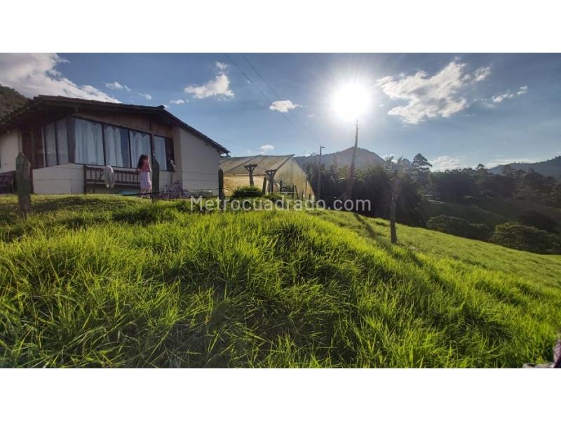 Lote en Venta, Pontezuela, Rionegro - Vista 5